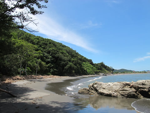 この～木なんの樹　 ～人工木材アートウッドＢＬＯＧ～-徳島の海岸